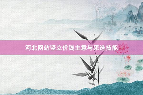 河北网站竖立价钱主意与采选技能